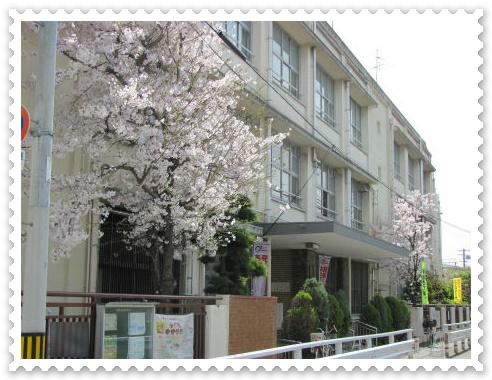 正門の桜.jpg